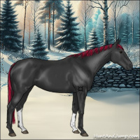 Horse Color:Painted Black 