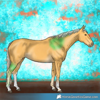 Horse Color:Palomino Tobiano 