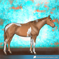 Horse Color:Chestnut Tobiano 