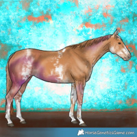 Horse Color:White Spotted Chestnut Tobiano 