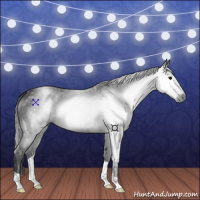 Horse Color:Gray Black 