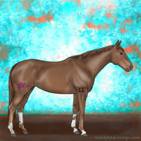 Horse Color:Chestnut Tobiano