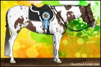 Horse Color:White Spotted Bay Tobiano 
