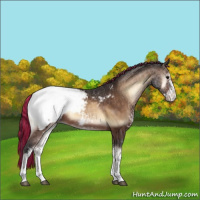 Horse Color:Painted Brown Onyx Sabino Snowcap