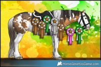 Horse Color:White Spotted Buckskin Splash 