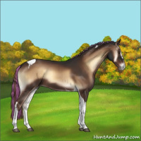 Horse Color:Painted Liver Red Onyx Sabino Tobiano