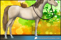 Horse Color:Buckskin Pearl Dun Tobiano