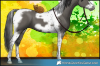 Horse Color:Grullo Tobiano Frame 