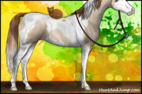 Horse Color:Buckskin Pearl Dun Splash Tobiano 
