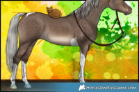 Horse Color:Silver Brown Dun Tobiano 