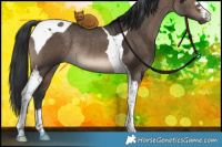Horse Color:Brown Dun Tobiano Rabicano 