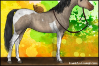 Horse Color:Brown Dun Tobiano 