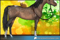 Horse Color:Brown Dun Tobiano 