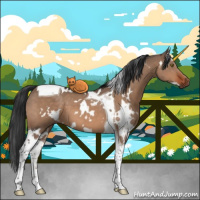 Horse Color:White Spotted Brown Dun Tobiano