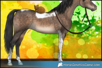 Horse Color:Brown Dun Tobiano 