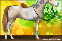 Horse Color:Bay Pearl Dun Splash Tobiano