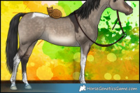 Horse Color:Brown Dun Tobiano