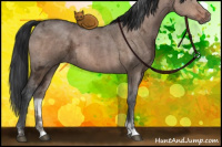 Horse Color:Brown Ice Dun Sabino