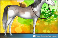Horse Color:Brown Ice Dun Sabino Splash 