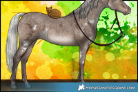 Horse Color:White Spotted Silver Brown Ice Dun 