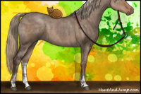 Horse Color:Liver Red Dun Sabino 