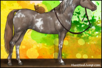 Horse Color:White Spotted Liver Red Dun 