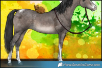 Horse Color:Brown Ice Dun Sabino Tobiano 
