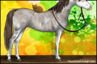 Horse Color:White Spotted Liver Red Dun Ice Splash
