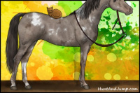Horse Color:White Spotted Liver Red Dun Ice 