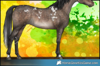 Horse Color:White Spotted Brown Dun 