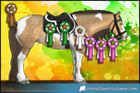 Horse Color:Sable Cream Champagne Tobiano 