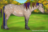 Horse Color:Painted Bay Ice Dun Sabino Rabicano 