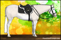 Horse Color:Silver Perlino Roan Splash 