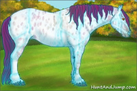 Horse Color:Thunderstruck Bay Ice Dun Tobiano Appaloosa 