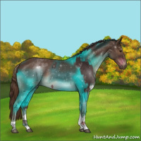 Horse Color:Liver Chestnut Tobiano  and Liver Chestnut Tobiano 