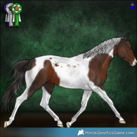 Horse Color:Liver Chestnut Tobiano 