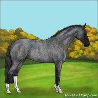 Horse Color:Midnight Blue Ice Roan Rabicano 