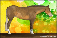 Horse Color:Gray Silver Classic Cream Champagne 