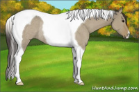 Horse Color:Smoky Grullo Tobiano Rabicano 