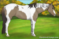 Horse Color:Smoky Grullo Tobiano