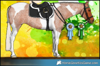 Horse Color:Silver Bay Roan Tobiano