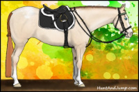 Horse Color:Classic Cream Champagne Roan Pearl Sabino Appaloosa 