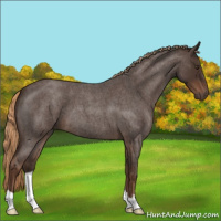 Horse Color:Liver Red Roan 