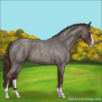 Horse Color:Liver Red Roan Sabino 