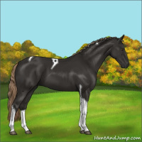 Horse Color:Liver Chestnut Tobiano 
