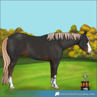 Horse Color:Liver Chestnut 