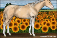 Horse Color:Gold Champagne Tobiano