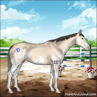 Horse Color:Amber Champagne Dun Splash 