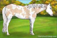 Horse Color:White Spotted Silver Sable Champagne Dun Splash 