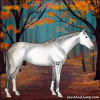 Horse Color:Gray Bay Dun